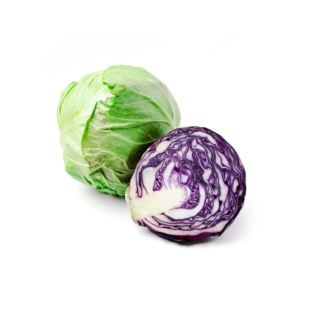 Green and purple cabbage on a white background