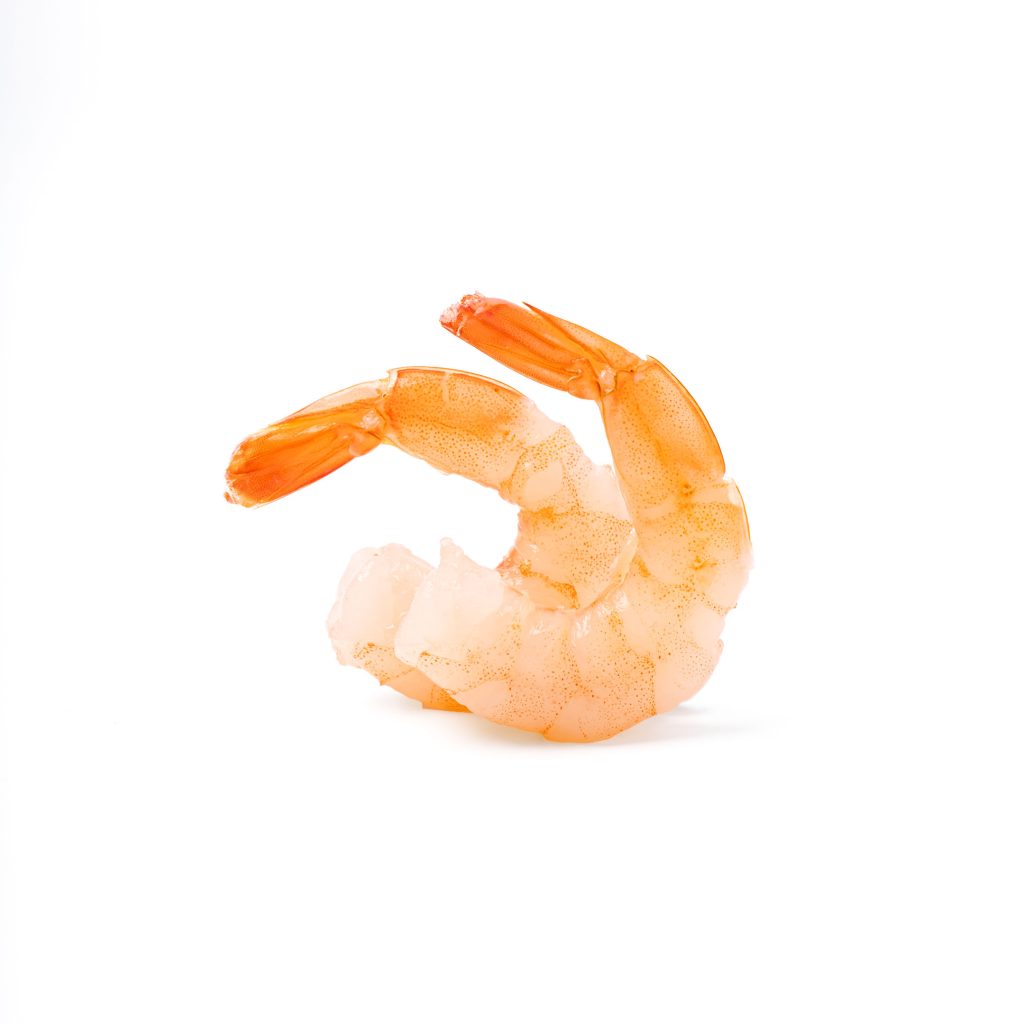 Shrimps on a white background